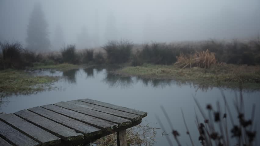 Person Standing On The Wooden Platform Over The Pond On A Misty Morning. - closeup shot