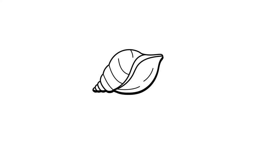 A hand drawn animated icon of conch shell 

