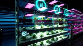 3d animation of vertical farm in bio agriculture. Modern shelfs with plants, lights and data analyse condition. Fresh and growing - Powered by Shutterstock - Get 15% off with code: PIKWIZARD15