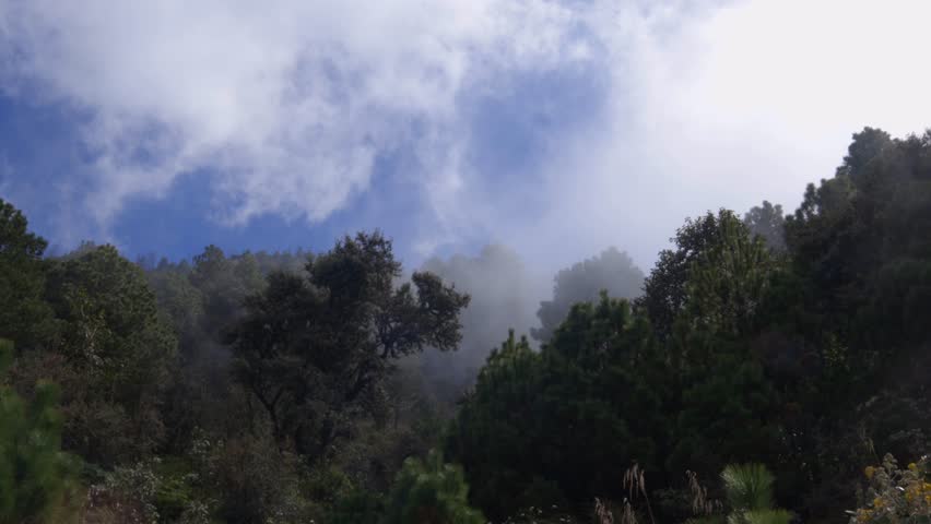 Guatemala active volcano Fuego ash plumes fumes over rainforest Central America