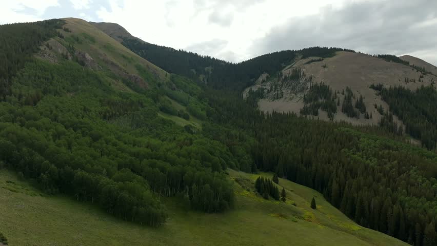 Summer Mount Sneffels Wilderness Ridgeway Telluride Colorado aerial drone Last Dollar Road Uncompahgre Forest Aspen Trees grove landscape vista ranch and San Juan Rocky Mountains Range circle right