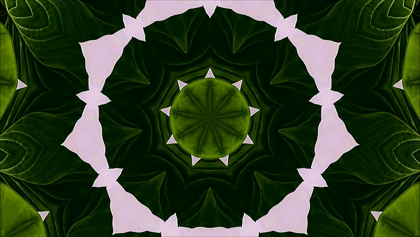 Seamless floral leaf pattern vector illustration featuring green leaves and vintage nature elements, animation background.