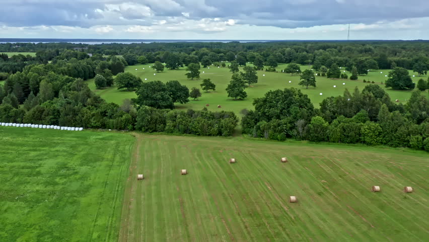 Agricultural Landscape in Estonia with Fields after Harvesting, White Bales of Straw - Truck Shot
