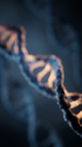 Biological DNA structure with bioengineering concept, 3d rendering. Motion graphic.