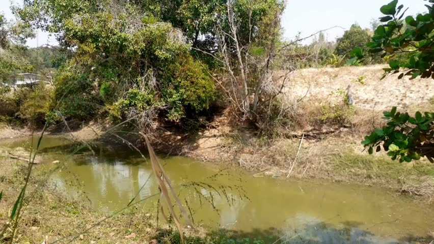 Natural water sources that are drying up during the summer