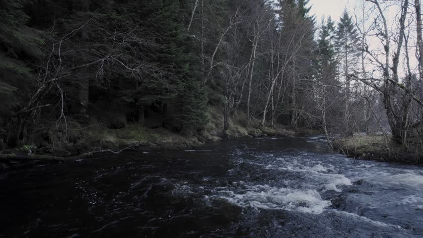 Norwegian nature: tranquil river in Skodje forest