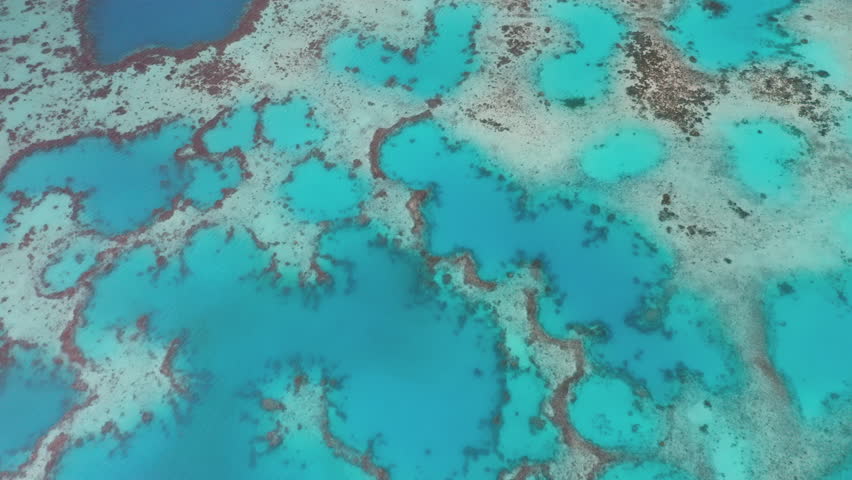 Great barrier reef breathtaking spectacle of vibrant turquoise oceanwater enveloping colorful coral formations, creating a mesmerizing tapestry of nature