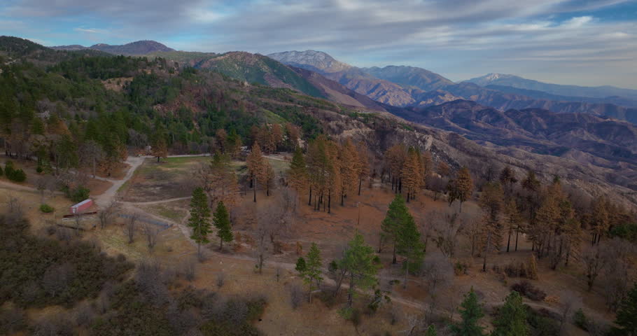 San Bernardino National Forest, California, USA