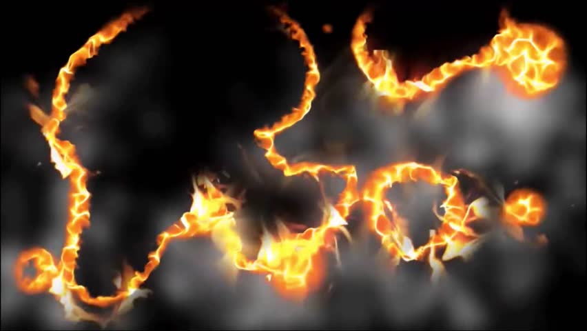 Shutterstock Video