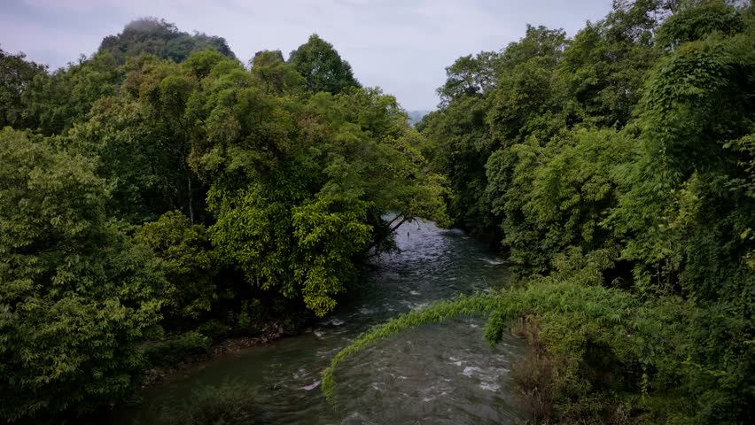 Aerial drone footage of a misty morning over a jungle river in Khao Sok, Thailand. The river flows through dense tropical rain forest, surrounded by lush greenery and towering limestone mountains.