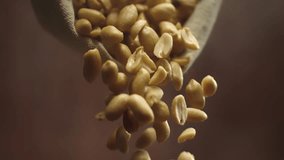 Crispy roasted salted peanuts falling in super slow motion close up. Hot delicious fried peanuts snacks flying. High speed 1000 fps footage - Powered by Shutterstock - Get 15% off with code: PIKWIZARD15