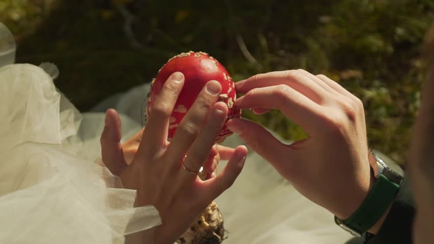 The bride holds a fly agaric in her hand, and the groom removes dry grass from the mushroom. Red fly agaric, Mushrooms, Poisonous mushrooms.