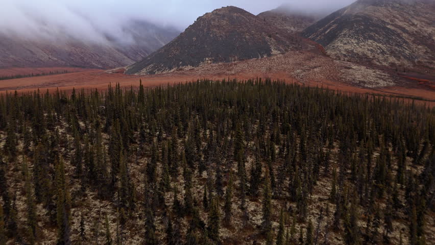 Ogilvie Mountains In Canada