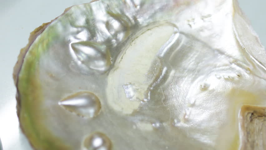 Mother of pearl surface of mollusk shell.