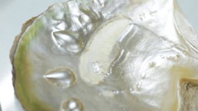 Mother of pearl surface of mollusk shell. - Powered by Shutterstock - Get 15% off with code: PIKWIZARD15