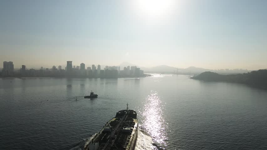cargo ships in the port of Santos