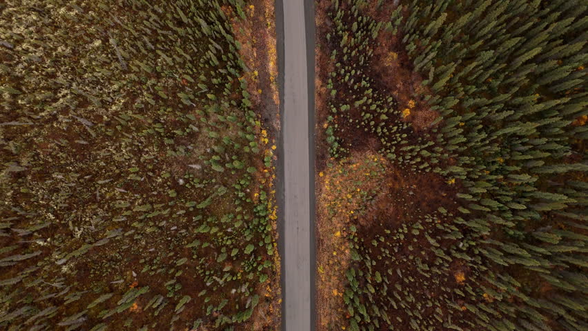Dempster Highway Through Dense Forest Near Ogilvie Mountains In Yukon, Canada. Aerial Topdown Shot