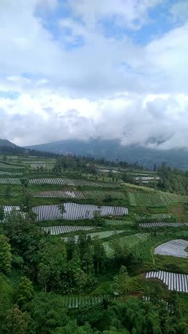 very beautyful mountain views. the air is very fresh. 