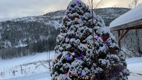 Christmas tree lights with Snow covered winter landscape of Norwegian fjord traditional red houses of countryside rural residences - Powered by Shutterstock - Get 15% off with code: PIKWIZARD15