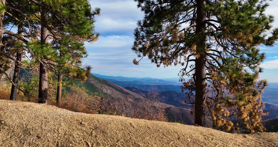 San Bernardino National Forest, California, USA