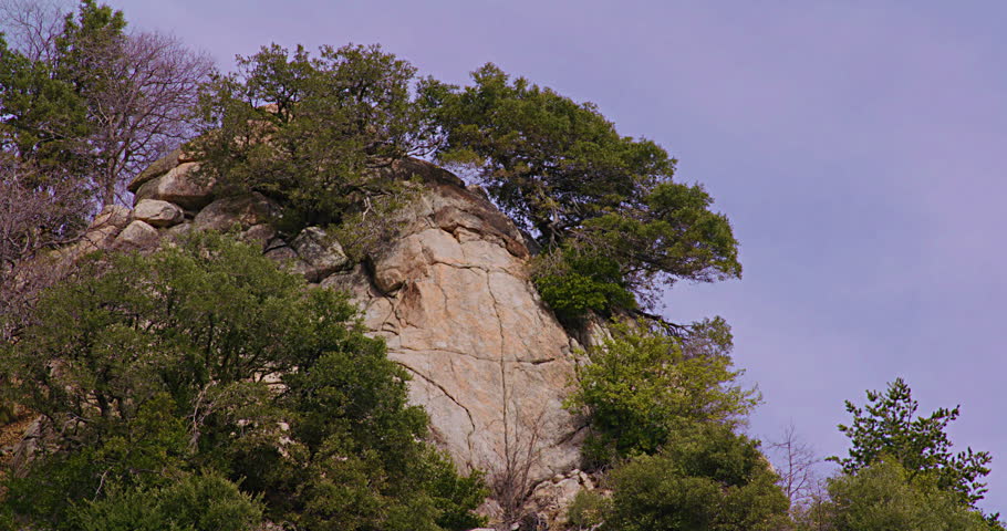 San Bernardino National Forest, California, USA