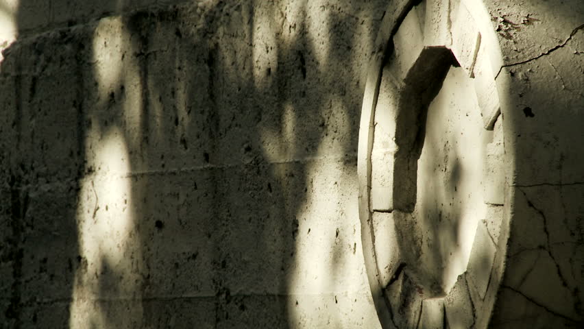 Shadows of trees and leaves on an exterior wall. Looping clip intended for