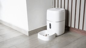 A mixed breed dog feeding at an automatic dog feeder. The dog is eating concentrated - Powered by Shutterstock - Get 15% off with code: PIKWIZARD15