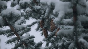 Snow falling upon pine tree branches and pine cones. Slow motion. - Powered by Shutterstock - Get 15% off with code: PIKWIZARD15