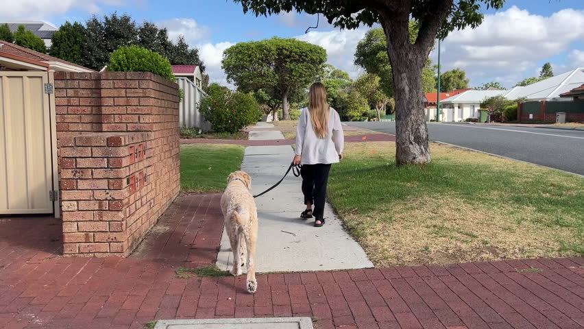 Back view of teenage girl walking dog on leash through streets of quiet area of Australia