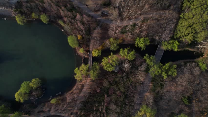 China, Jinan, Shandong Province, Forest