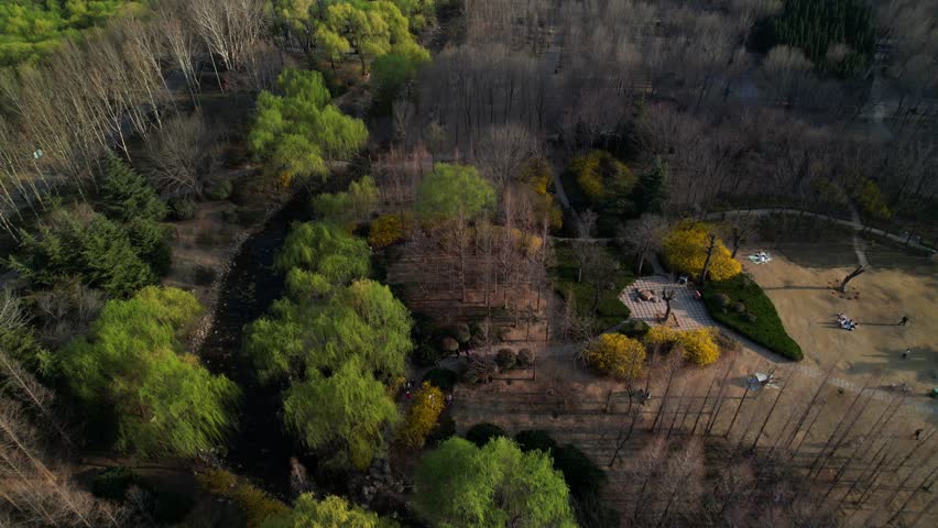 China, Jinan, Shandong Province, Forest