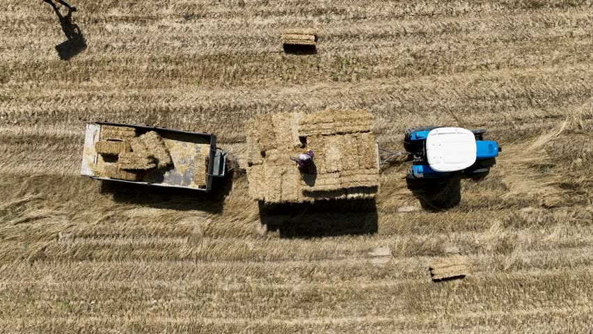 harvest time
harvesting agricultural products such as barley, wheat, oats, corn in the summer months with combine harvesters, tractors, threshers, etc. agricultural equipment, labor agricultural activ