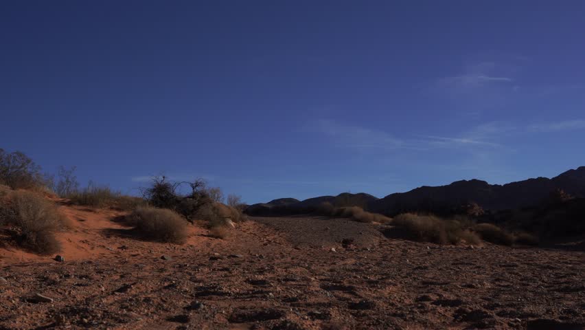 A desert view with sparse vegetation under a magnificently blue sky.