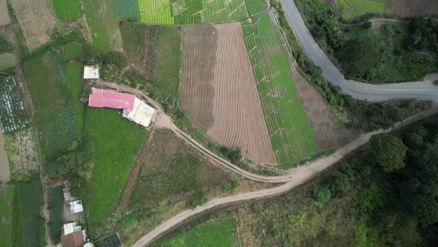 Green fields and farmhouses in junquito, venezuela, near a winding road, aerial view