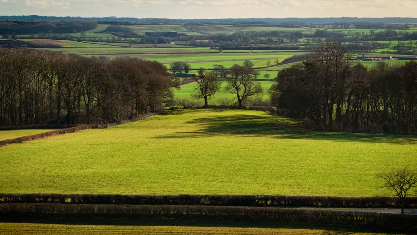 Vast green pastures and scattered trees casting long shadows on open land. Beautiful rural scenery and farmlands in England at sundown. Expansive grassy fields and solitary trees creating contrast in