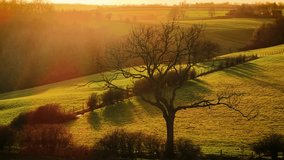 Silhouetted bare tree standing against golden sunset over rolling countryside. Expansive agricultural lands and scenic countryside in England at twilight. Leafless twisted branches reaching over - Powered by Shutterstock - Get 15% off with code: PIKWIZARD15