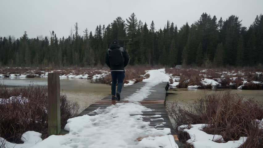 A Caucasian man walking on snowy walkway above a swamp towards green forest in a winter overcast day in Algonquin Park, Ontario, Canada