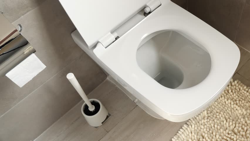 White ceramic toilet at the bathroom, nobody