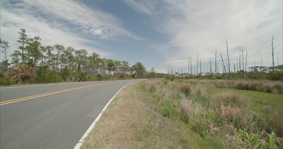 Wide static shot of swamp and road in Apalachicola Forrest in St Marks, Florida Panhandle. Clouds in and out. For projects requiring longer clips in higher resolution, visit StockPlates