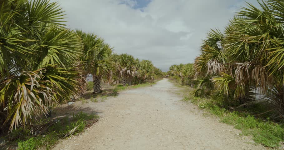 Static shot of a dirt road in Apalachicola Forrest in St Marks, Florida Panhandle. For projects requiring longer clips in higher resolution, visit StockPlates