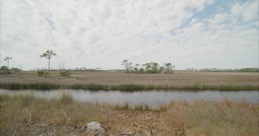 Wide static shot of a marsh field and creek in Apalachicola Forrest in St Marks, Florida Panhandle. For projects requiring longer clips in higher resolution, visit StockPlates.