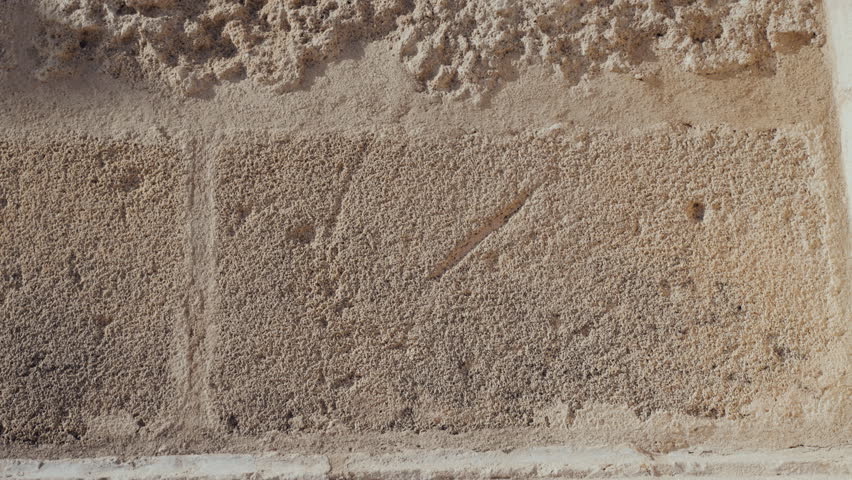 The textured stone walls of Seville’s Cathedral are a stunning display of intricate carvings and weathered surfaces, reflecting centuries of history and craftsmanship