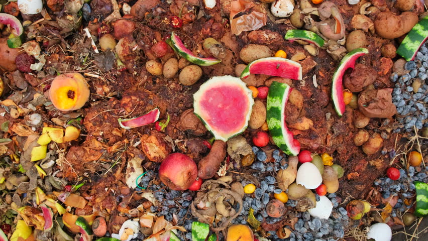 Compost Fruits and Vegetables in Compost Pile. Composting food scraps, organic waste. Organic recycling food waste. Transforming Kitchen Waste into Nutrient-Rich Compost for Your Garden 