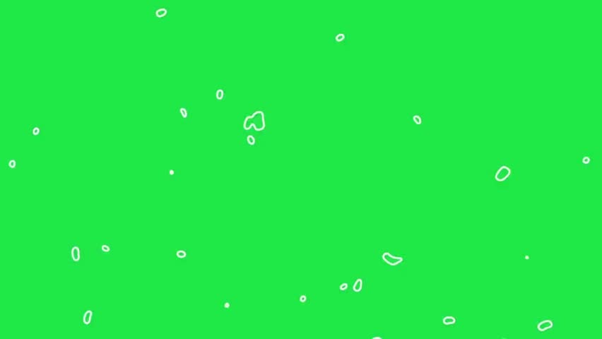 Shutterstock Video