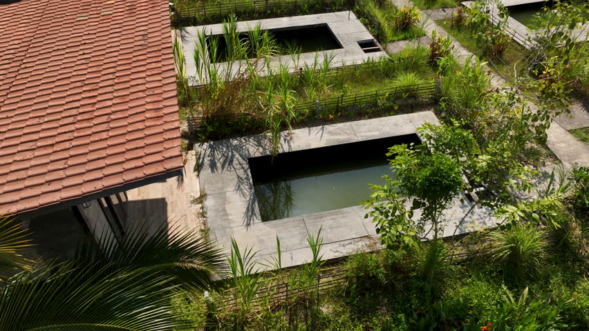 A serene accommodation featuring rural-style houses with pools, surrounded by lush green lotus ponds enhancing the peaceful and refreshing ambiance.