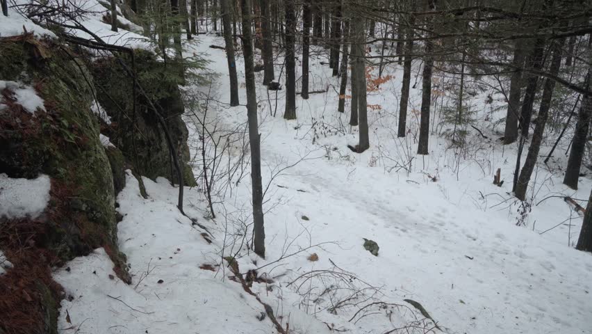 A Caucasian man with hoodie and backpack hiking in the snow-covered Algonquin