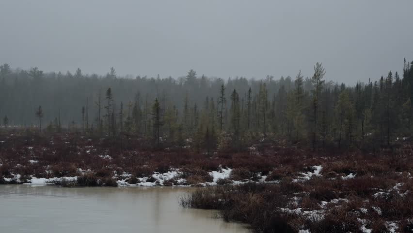 A calm Winter scene of wetlands and snowy woods under gray sky in Algonquin Park, Ontario, Canada
