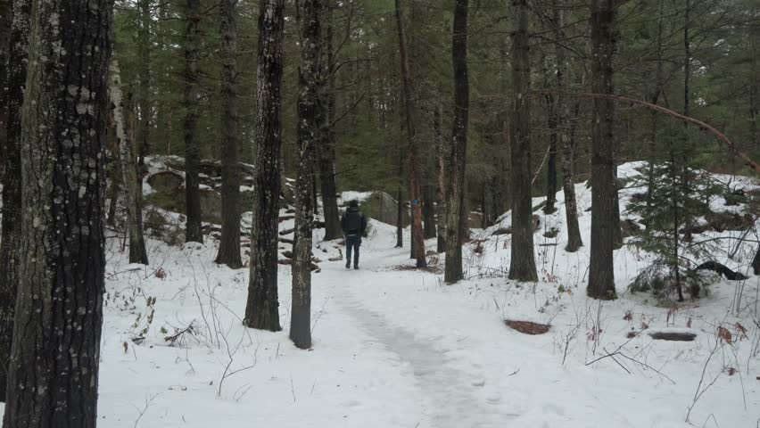 A Caucasian man with hoodie and backpack in distance hiking in the snow-covered Algonquin