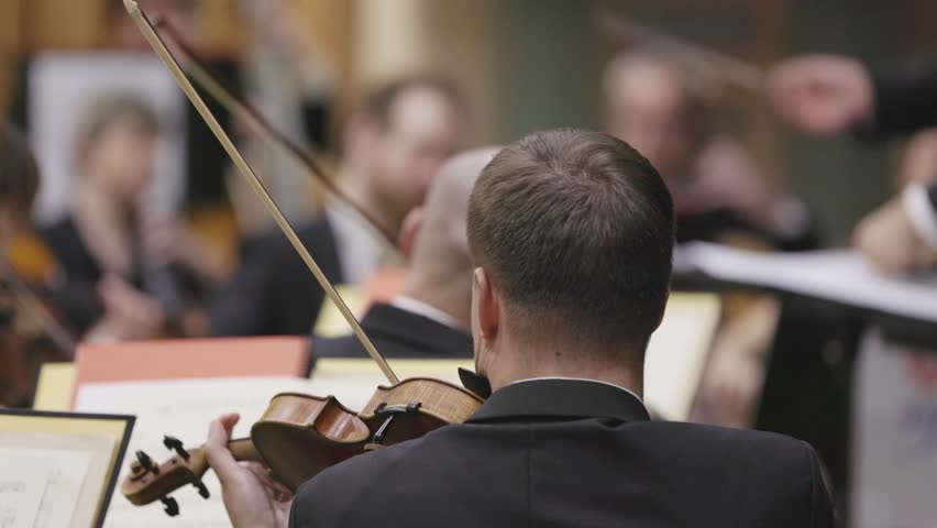 Violinist playing in orchestra, seen from behind