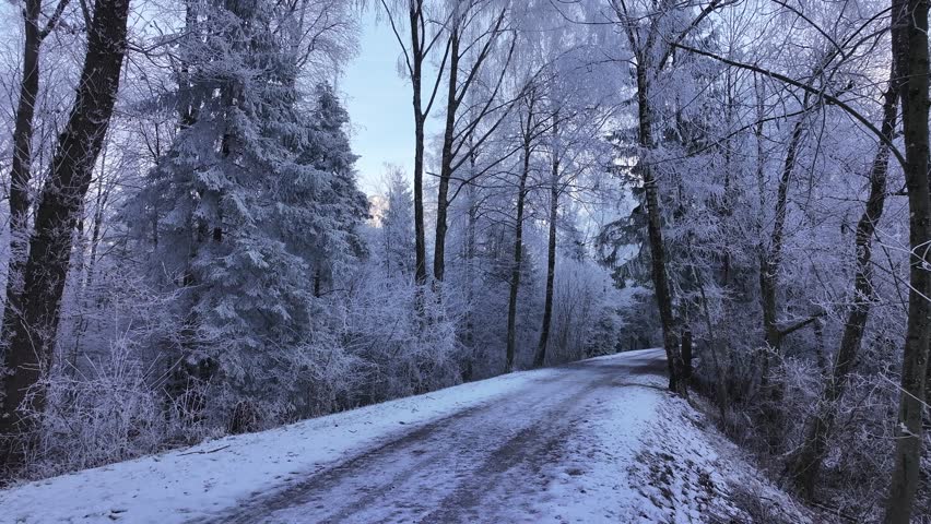 View of a snowy path through a frosted forest near Walensee, Switzerland. Tall, snow-covered trees line the road, creating a serene and tranquil winter scene.